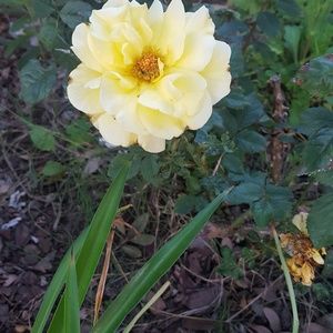 Meet your Posher, Eugenia k